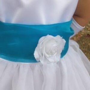 Meet your Posher, Molly